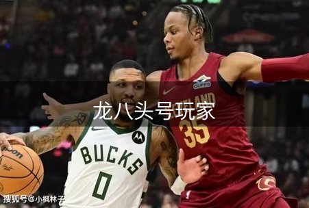 关于龙八头号玩家